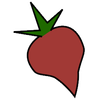 Beets - 开源音乐库管理与自动元数据标签整理工具